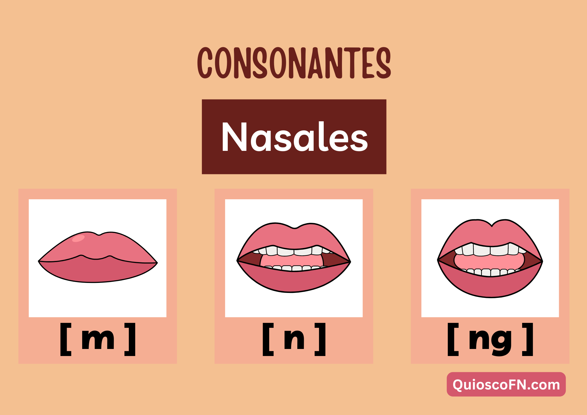 Las consonantes nasales del inglés estadounidense son sonidos producidos al permitir que el aire fluya a través de la cavidad nasal mientras se obstruye el paso del aire por la boca. Estos sonidos se articulan al bajar el velo del paladar para permitir que el aire pase a través de la nariz. Las consonantes nasales más comunes en el inglés estadounidense son [m], [n] y [ŋ].

La consonante nasal [m] se produce al cerrar los labios y dejar que el aire salga por la nariz, como en la palabra "mom" (mamá). La consonante nasal [n] se produce al colocar la punta de la lengua detrás de los dientes superiores y dejar que el aire fluya por la nariz, como en la palabra "nine" (nueve). Y la consonante nasal [ŋ] se produce al levantar el dorso de la lengua hacia el velo del paladar y permitir que el aire pase por la nariz, como en la palabra "sing" (cantar). Estas consonantes nasales añaden una calidad nasal distintiva a la pronunciación de las palabras en inglés estadounidense.